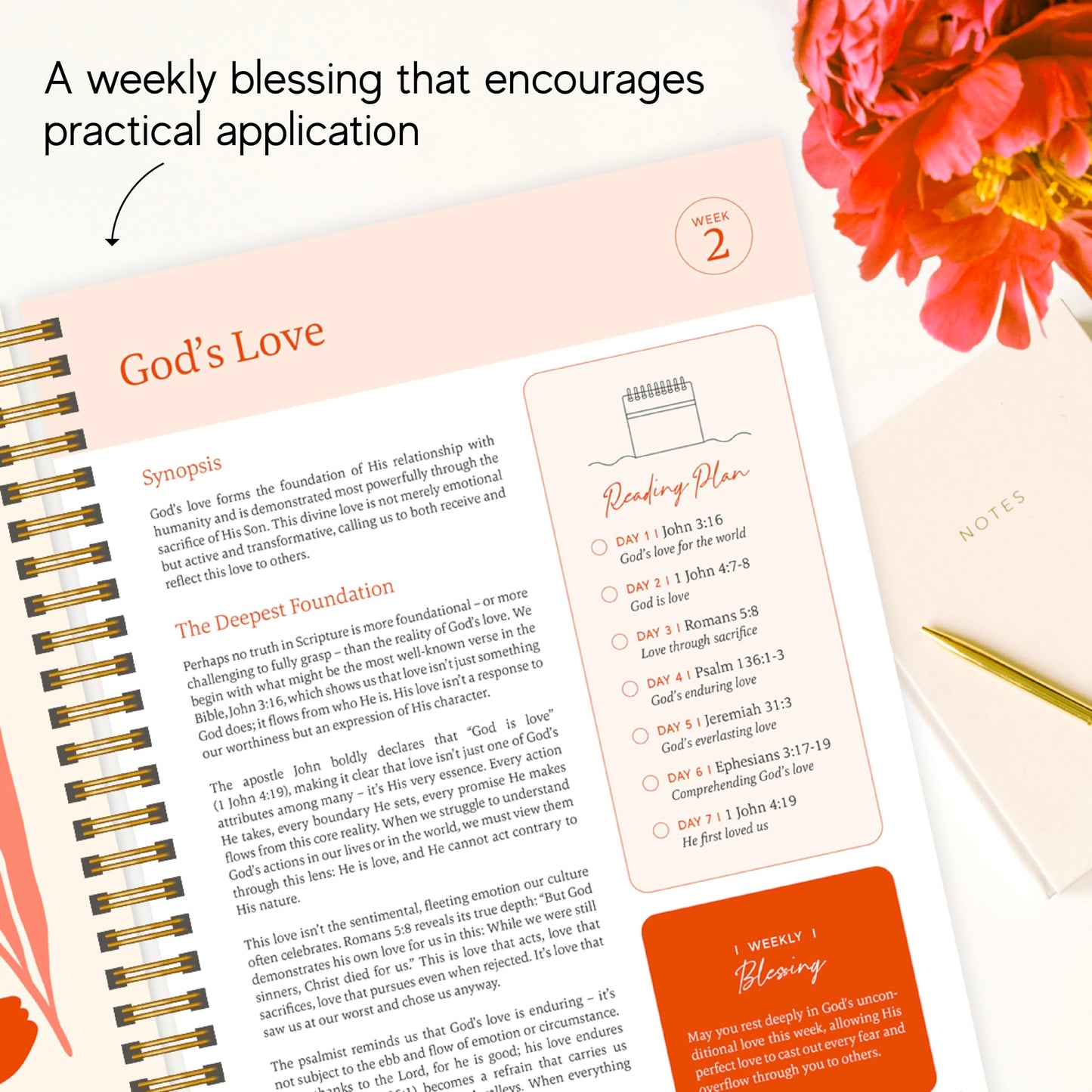Official Spiral Bible® The Bible in a Year | 52 Week Guided Bible Study & Daily Reading Plan | Spiritual Companion & Journal for Adults & Teens | 8.5" x 11" Notebook