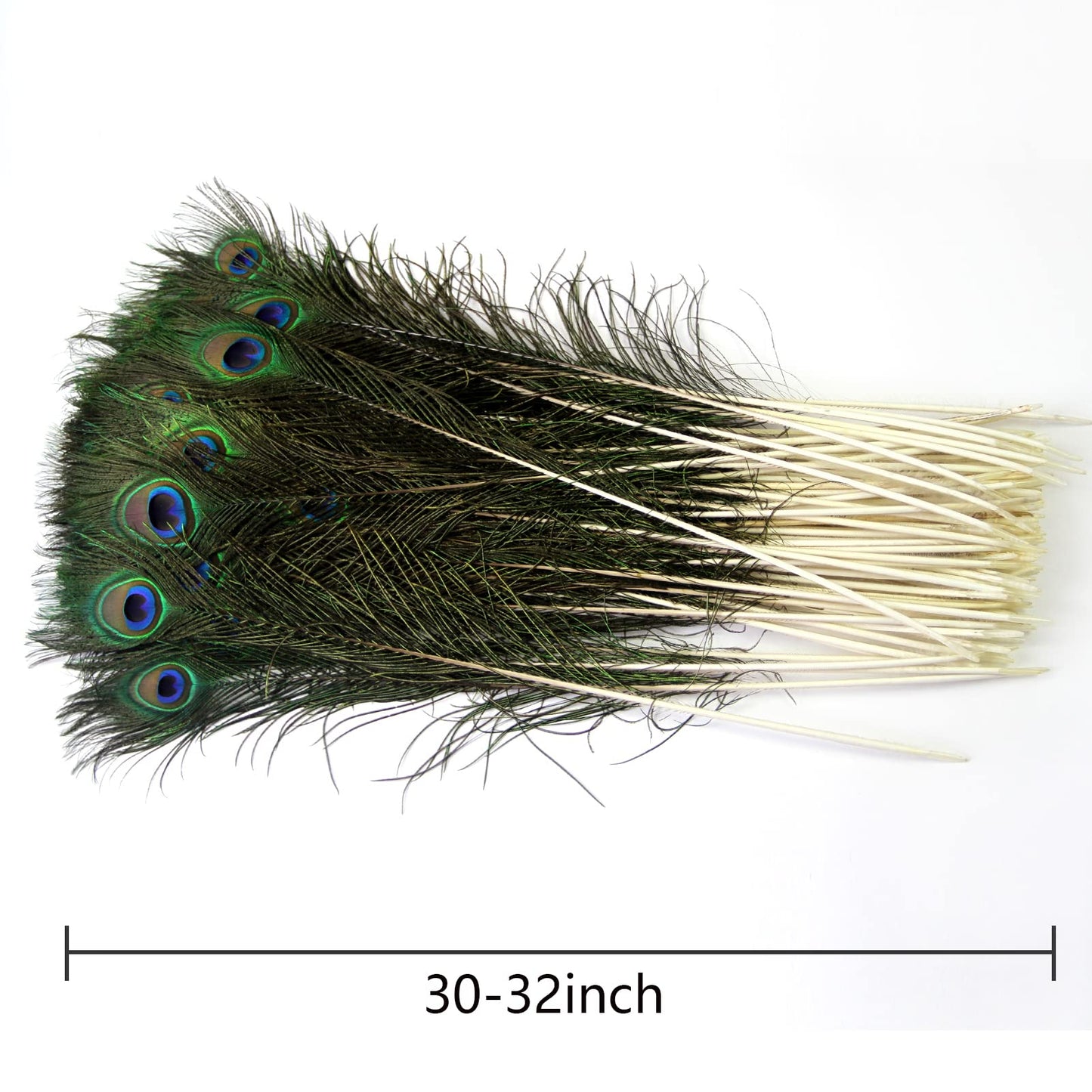 THARAHT 24pcs Peacock Feathers Natural Long in Bulk 30-32 inch(75-80 cm) for Floral Arrangements DIY Craft, Wedding Home Party Holiday Decoration Peacock Feathers