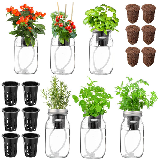 Teenyyou 6 Set Hydroponic Mason Garden Jar Kit Self Watering Herb Hydroponic Planter Starter Kit with Net Pot Garden Flower Plant Growing Gift for Indoor Herbs Windowsill Gardening