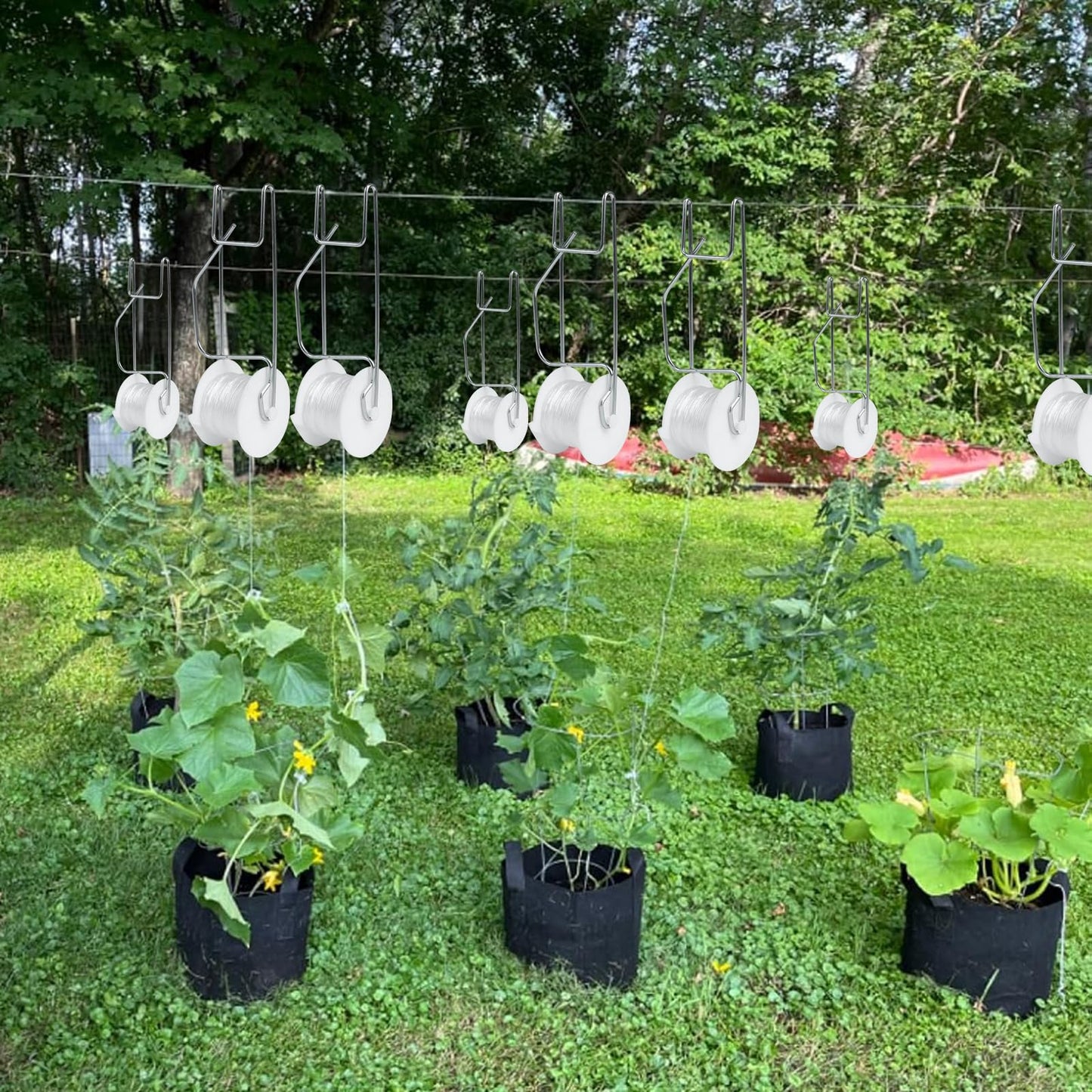 Hidbot Tomato Support Hooks with String,20 Pack Tomato Trellis Roller Hooks with 49.2FT String for Plant,Greenhouse Tomato Flower Vine Twine Crop Trellis Kit Plant Roller Hook