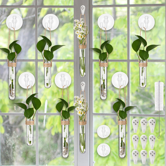 Baderke 9 Pack Clear Window Propagation Stations Plastic Window Planter with Suction Cups & Traceless Nails, Propagated Plant Holders with Bottle Brush, Hanging Vases Terrarium Gift (5.5''& 5"& 3.7'')
