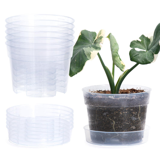 6 Inch Clear Plastic Plant Pot with Drainage Holes, Interlocking & Detachable Tray - Deep Saucer - Durable BPA-Free Plastic, Transparent Design, Raised Base for Airflow, Set of 6, 92-X-A-4