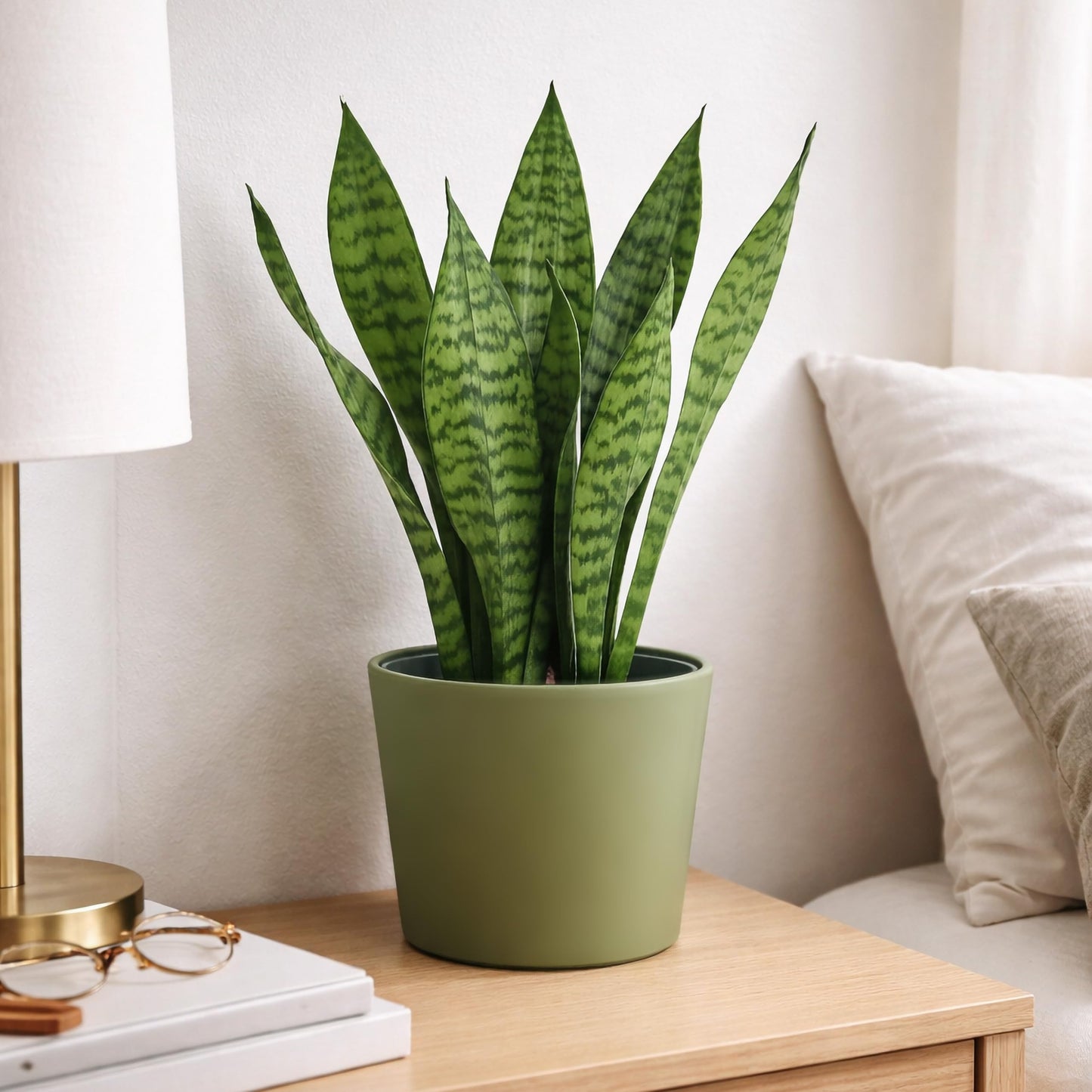 Phoenix Vine 6.6 Inch Olive Plastic Cachepot with Clear Nursery Pot, Decorative Lightweight Planter Cover with Transparent Inner Pot for Indoor Houseplants, Pack of 1, 24-C-F-1