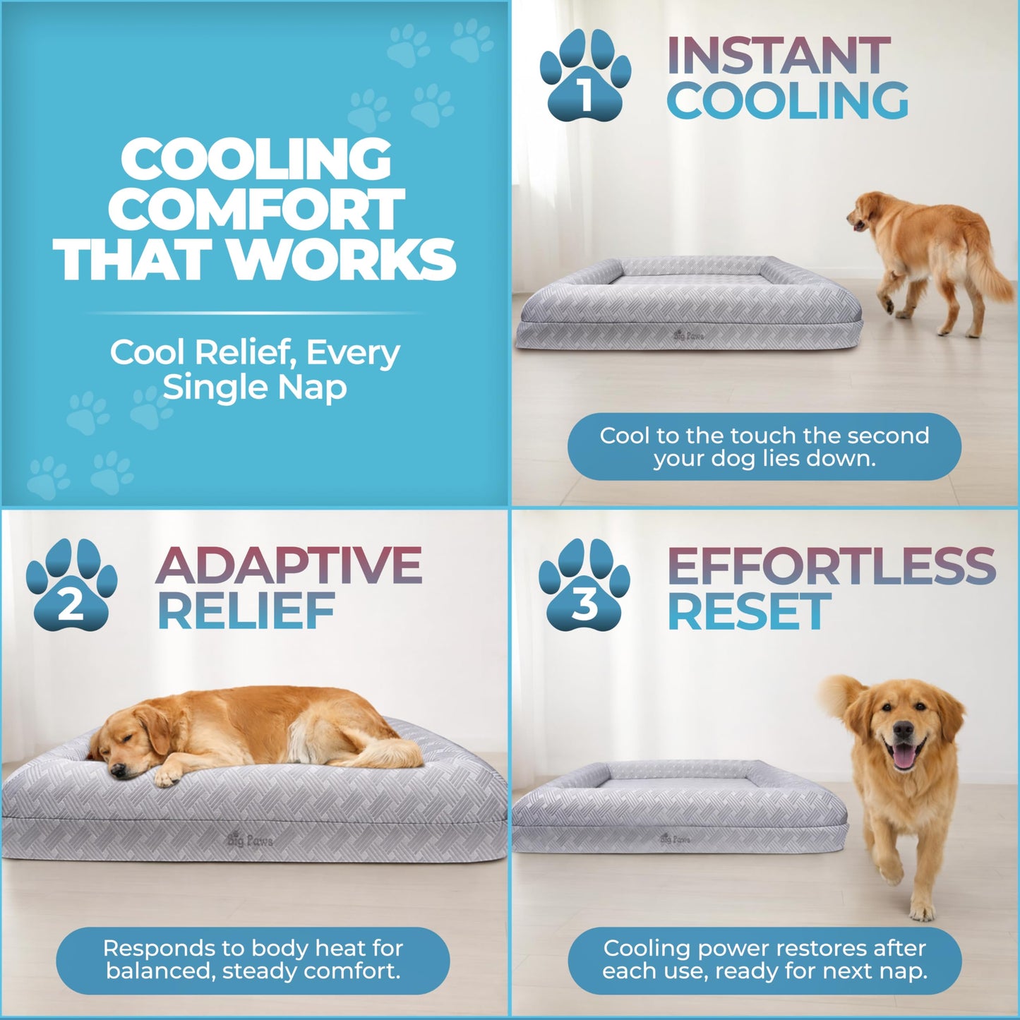 Big Paws Cooling Orthopedic Dog Bed for XL & Senior Dogs + Enclosed Support, High-Density Memory Foam, Waterproof Liners, Washable Cover