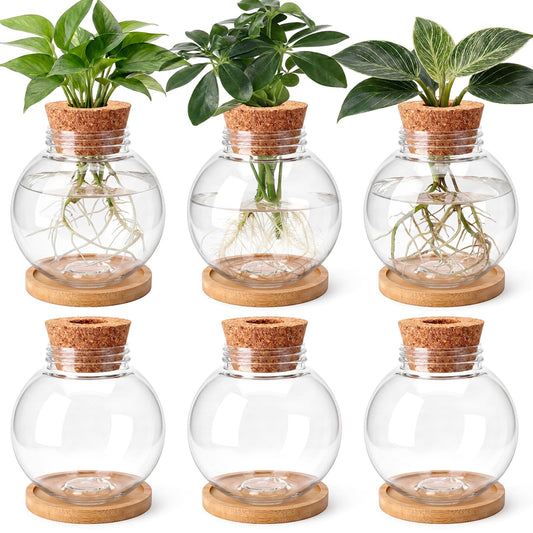 Ripeng 6 Pack Propagation Vases for Plants Plastic Large Plant Propagation Station with Hole Lid and Cork Coasters Growing in Water Hydroponic Home Office Table Garden Kitchen Decor, 4.06 x 3.98 Inch