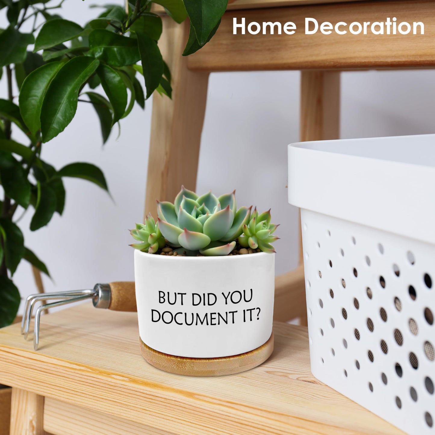 ROXMART But Did You Document It Funny Plant Pots, Funny Office Gifts Succulent Planters, Sarcastic Gifts for Women Men Coworker Ceramic Plant Flower Pots for Home Office Desk Table Shelf(No Plants)