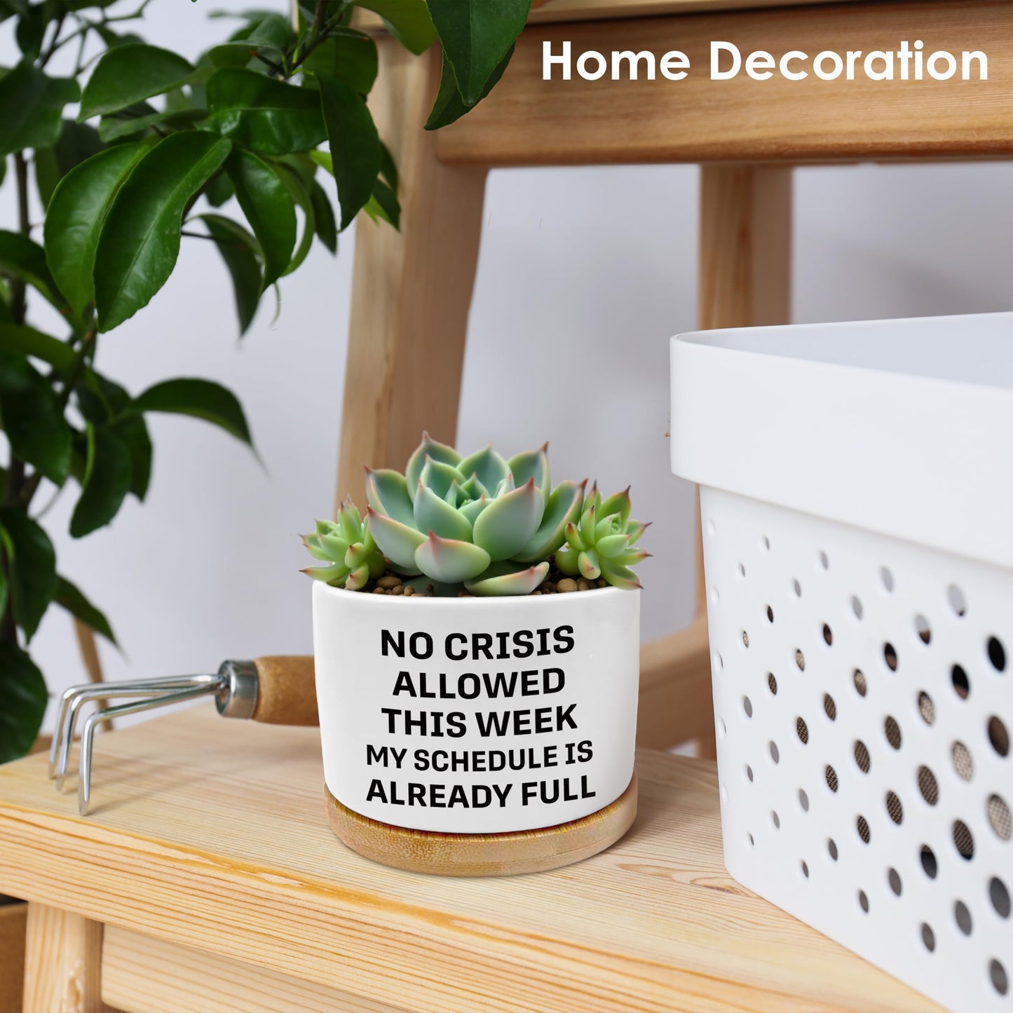 ROXMART Funny Office Gifts Plant Pots, Sarcastic Gifts for Women Men Coworker Boss Succulent Planters, No Crisis Allowed This Week Ceramic Plant Flower Pots for Home Office Desk Table Shelf(No Plants)
