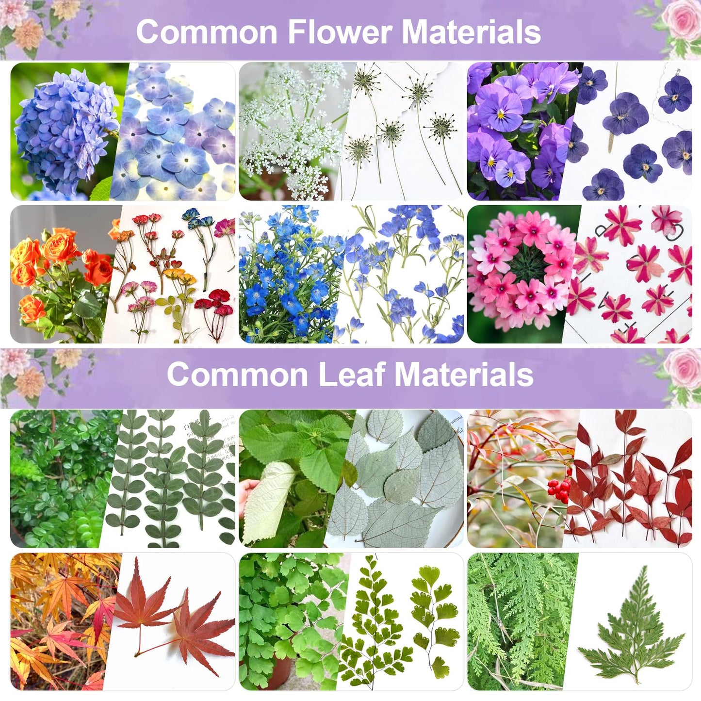 Suziko Large Flower Press Kit 10.8 x 6.9 inch for Adults, Flower and Plant Preservation Kit, Arts and Crafts for Adults Leaf Press, Great Gift for Lovers