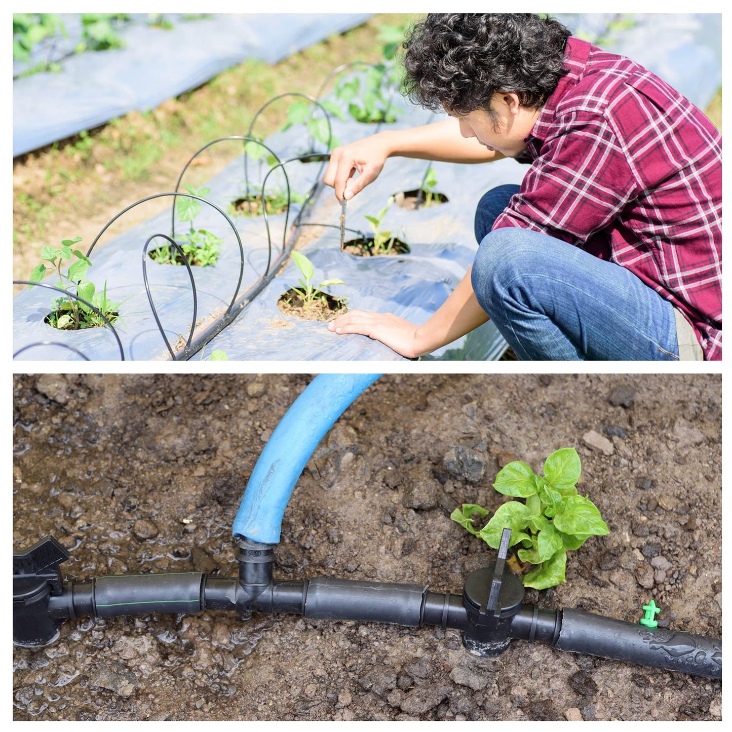 656 Feet 1/4 Inch Drip Irrigation Tubing Irrigation Hose Garden Watering Tube Line, Drip Line Watering Automatic Irrigation Equipment Set for Garden Irrigation System Flower Patio Lawn(Black)