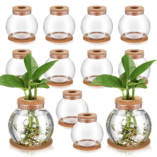 Baderke 12 Packs Propagation Vases for Plants Plastic Plant Propagation Station with Hole Lid and Cork Coasters Plant Growing in Water Hydroponic Home Office Table Decoration(Fish Bowl Style)