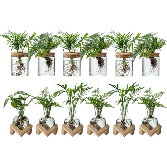 JGKYLDZ Plant Propagation Station, 2 Style Glass Planter Terrarium Set for Hydroponic Plants | Home Office Tabletop Decor, Gardening Gifts for Women, Mom, Plant Lovers (12)