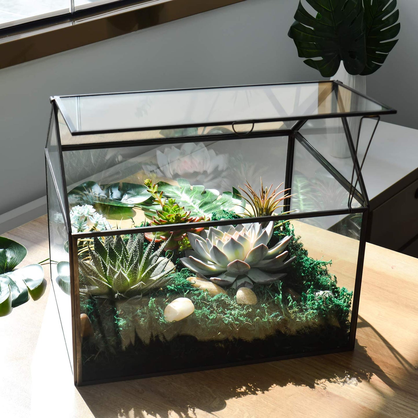 Large Glass Plant Terrarium – House Succulent Glass Terrarium Kit with Lip Glass Greenhouse Terrarium for Plant 12.26X9.15X10.9inch (Black 2)