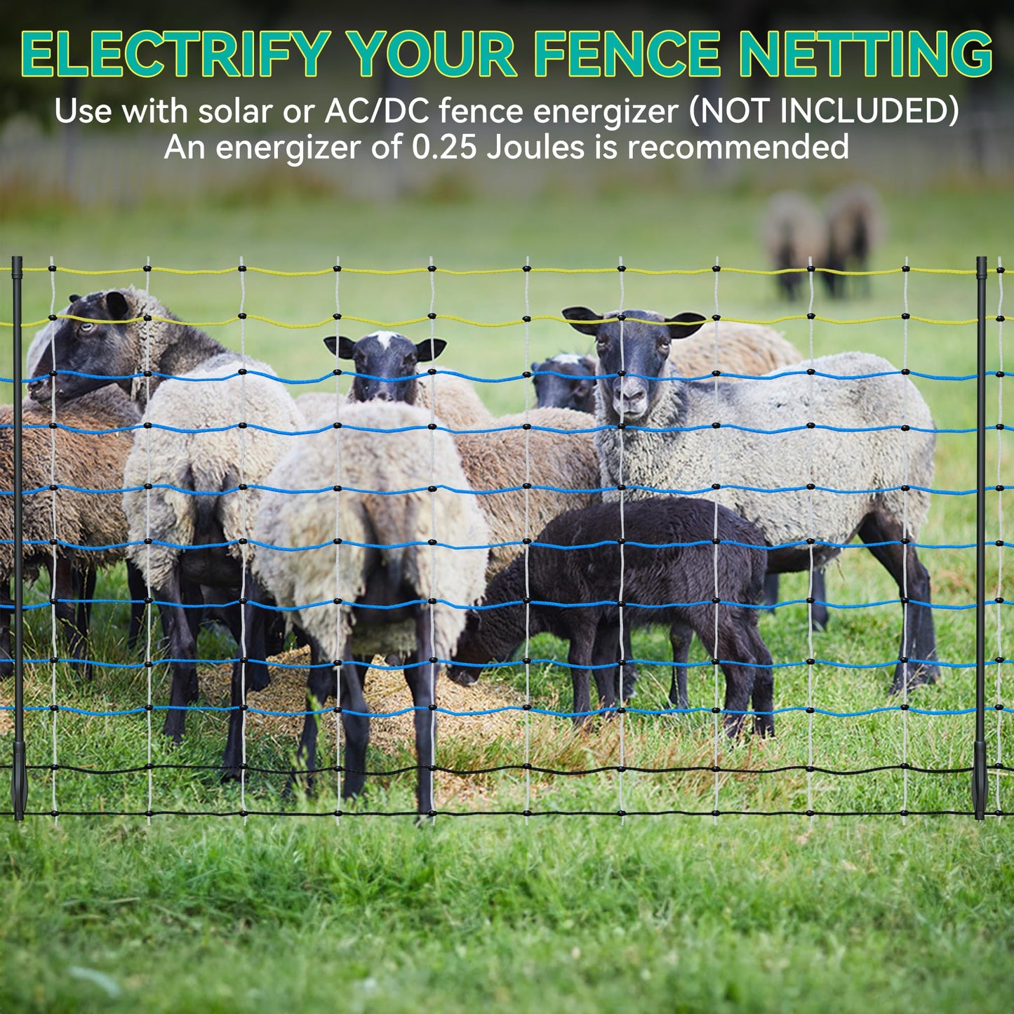 PPOLB Highly Visible Blue Electric Fence Netting, 35.4" H x 164' L, Portable Livestock Nets Mesh for Goats, Sheep, Hogs, Dog, Electric Fencing for Backyards, Homesteaders, Farms Ranches, and Gardens