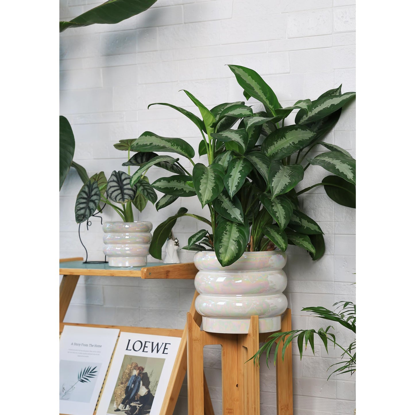 YFFSRJDJ 10 inch Ceramic Plant Pots for Indoor Plants, Rainbow Pearl Glaze Planter with Planters for Plants with Drainage Hole, Orchid Pots, Succulent Pot, Large Flower Pot (White)