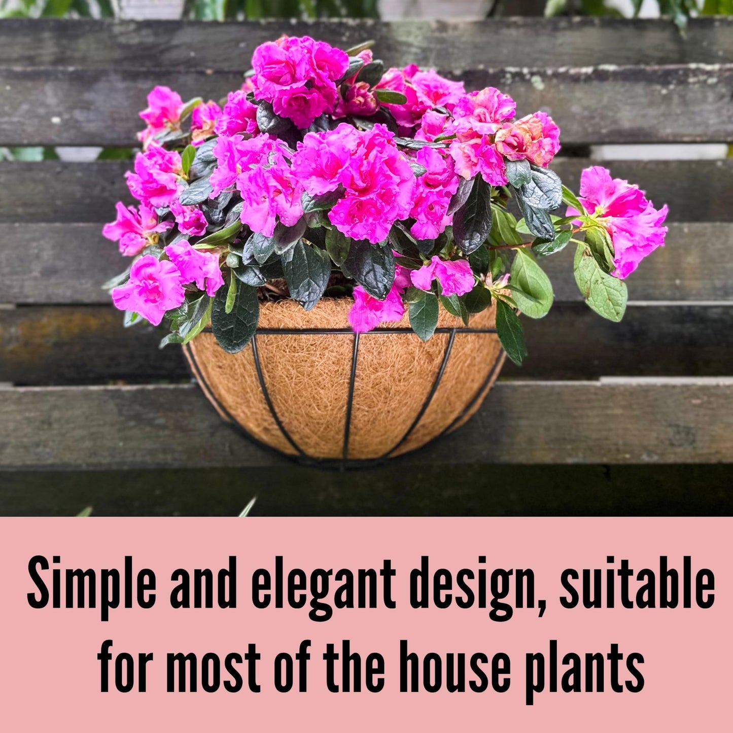 LaLaGreen Wall Hanging Planters, 2 Pack, 12 Inch Wall Mounted Flower Baskets with Coco Liner, Metal Iron Wire Plant Holder for Outdoor Window Box Herb Outside Fence Railing Deck Porch Balcony Garden