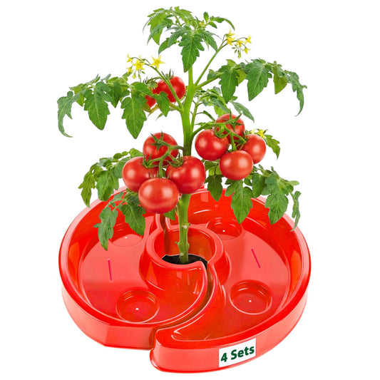 HolyMaji 4 Sets Tomato Watering Ring, Aqua-Direct Red Tomato Halo for Vegetable Direct Root Irrigation, Cuts Runoff, Promotes Vigorous Plant Growth | Rapid-Stake Mount