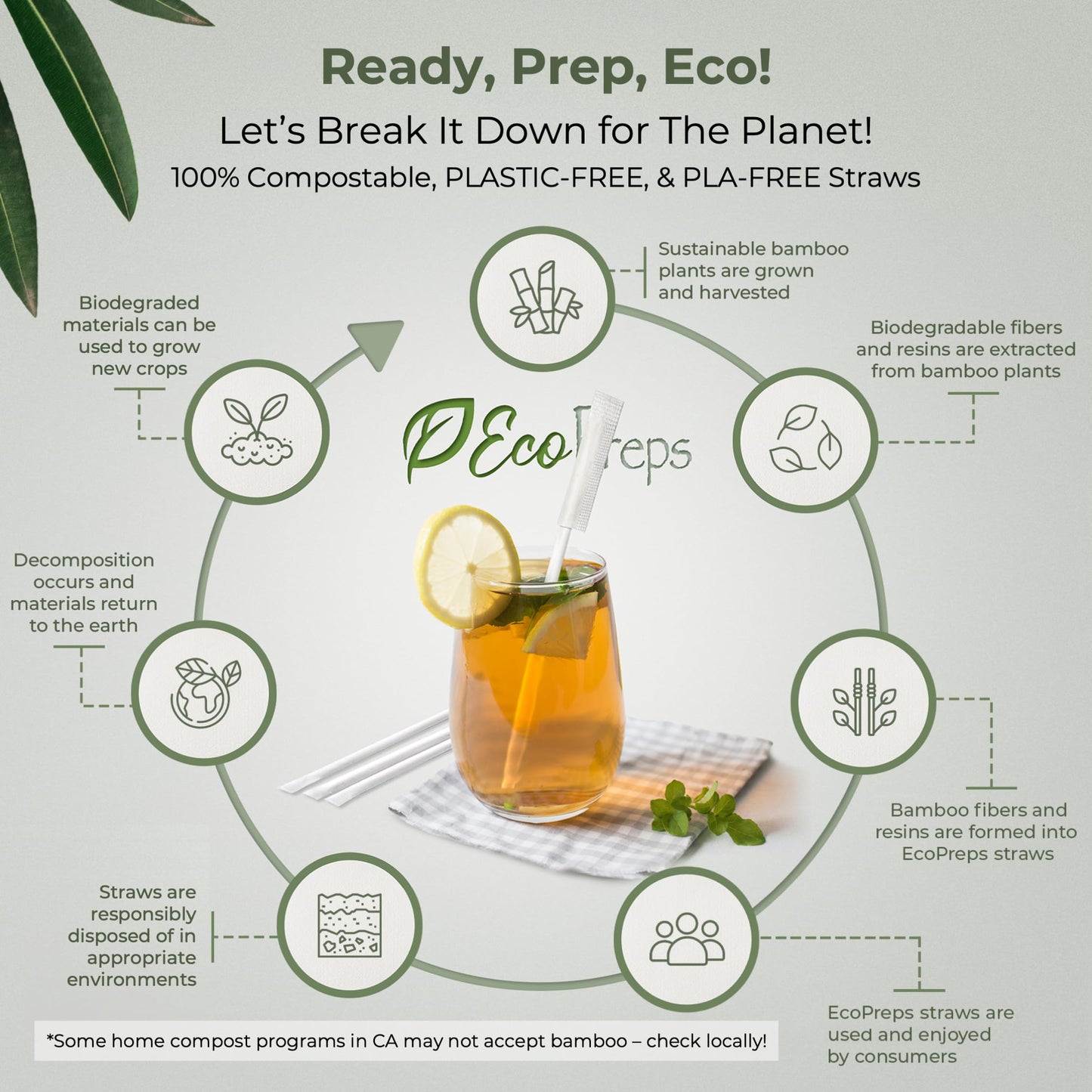 EcoPreps Biodegradable Bamboo Fiber Straws, Plastic-Free Individually Wrapped Straws | 100 Count, 100% Compostable, Eco-Friendly Drinking Straw | 7.8'' Plant Fiber Disposable Straw in White Paper Wrap