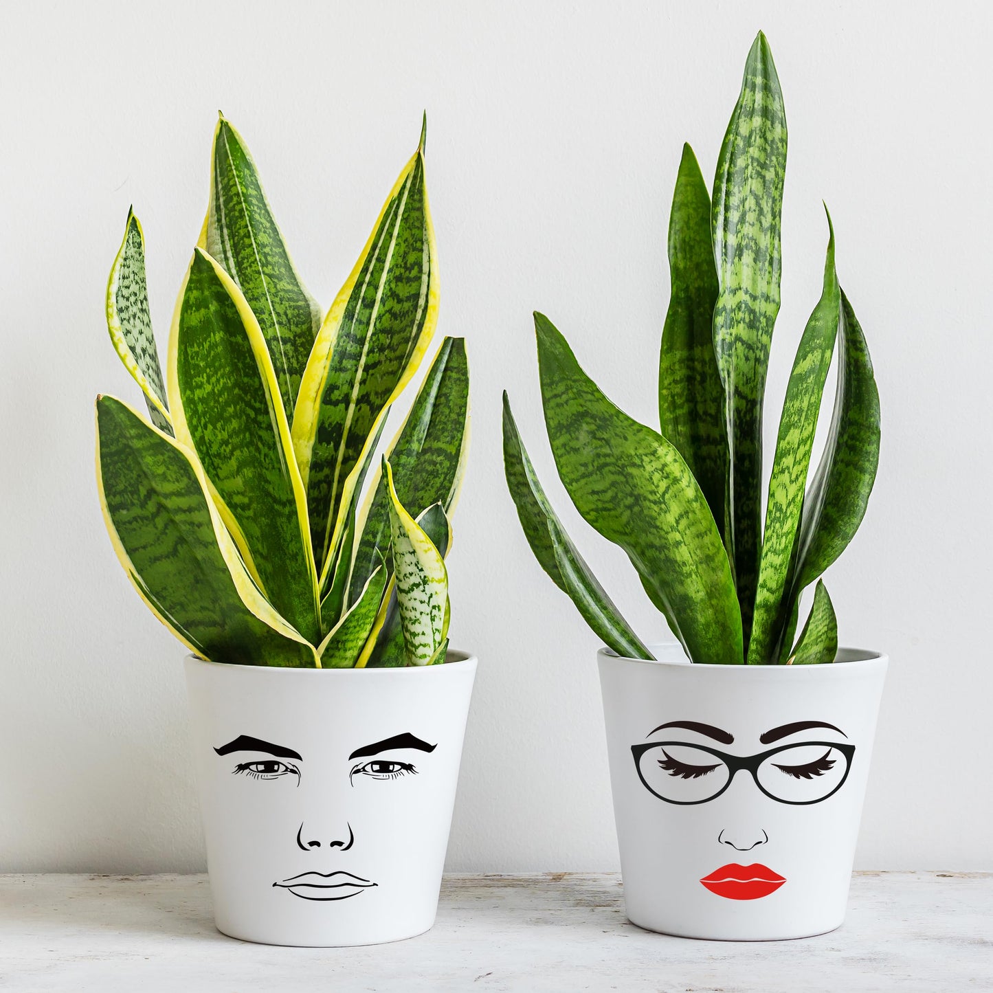 DSjuedui Face Stickers for Crafts - 12 Sheets DIY Vinyl Face Waterproof Decoration Transfer Decals for Flower Pots, Funny Eyes Nose Mouth Stickers for Wood Wall Water Bottles DIY Crafts Party Supplies