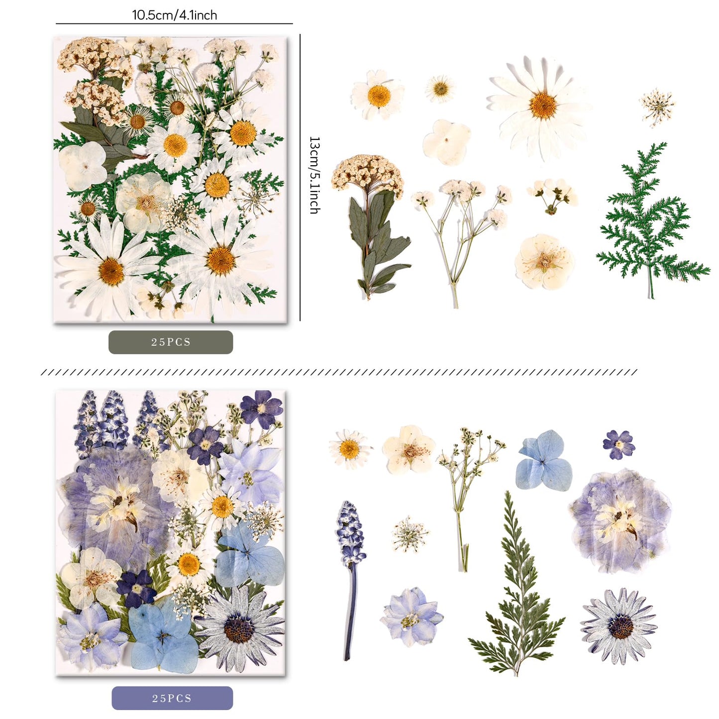 nisetten 6 Pack 150PCS Real Pressed Dried Flowers Dry Leaves Craft Kit - Natural Dried Flowers for DIY Crafts, Resin Jewelry, Cards, Soap, CandleMaking, Nail Art, and Scrapbooking (Colorful)