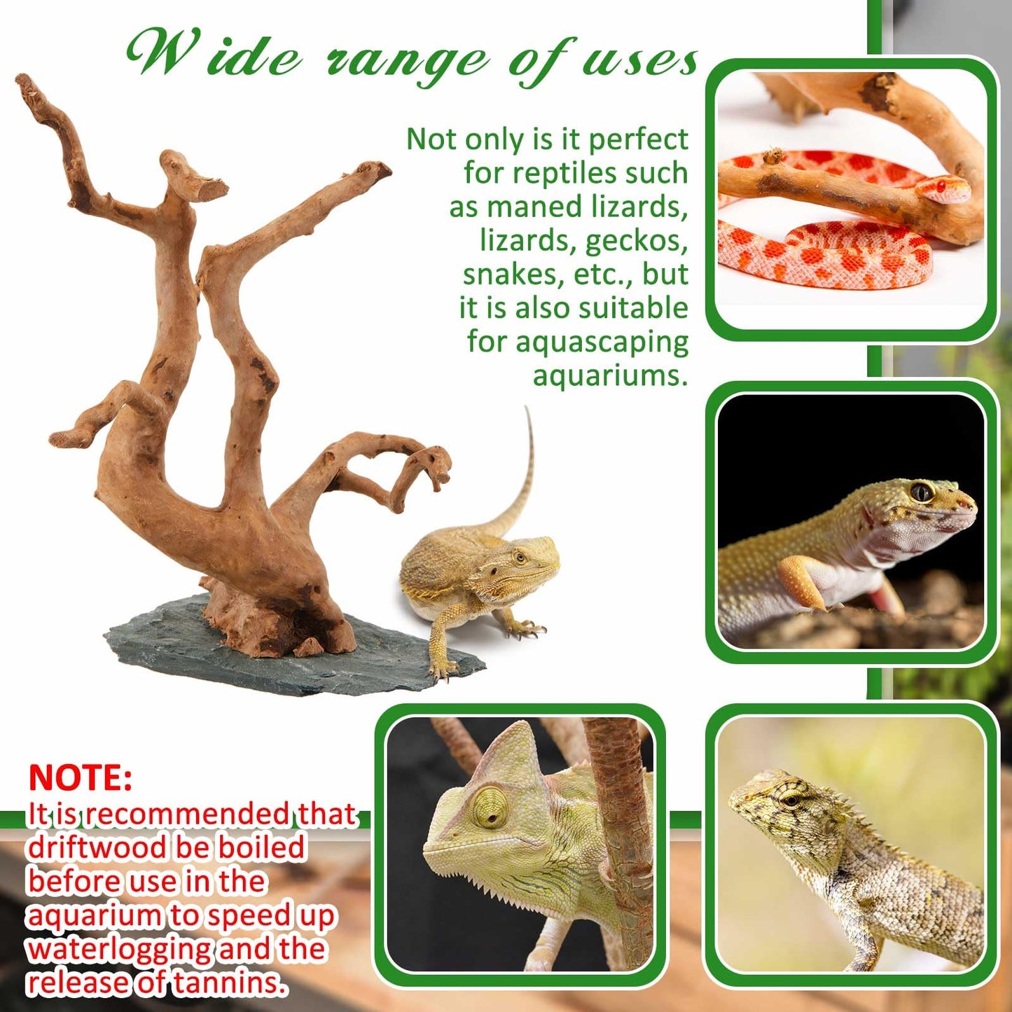 AceOrbit Large Driftwood for Aquarium, 8.5-11.5 Inch Spider Wood on Slate Stone, Natural Spiderwood Aquarium Driftwood Aquascaping Wood for Reptile Enclosure, Terrarium, Reptile Tank, Fish Tank Decor