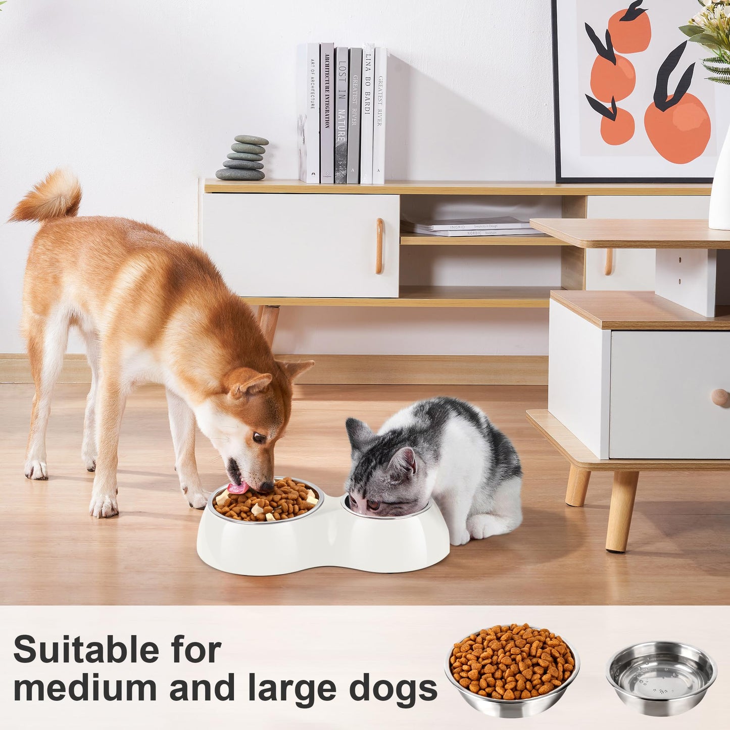 PetVillage Elevated Dog Bowls Set - Non-Slip Raised Pet Feeder with Medium (10 oz) & Large (20 oz) Stainless Steel Bowls - Includes Durable Resin Stand for Corgi Puppies and Adult Cats - White