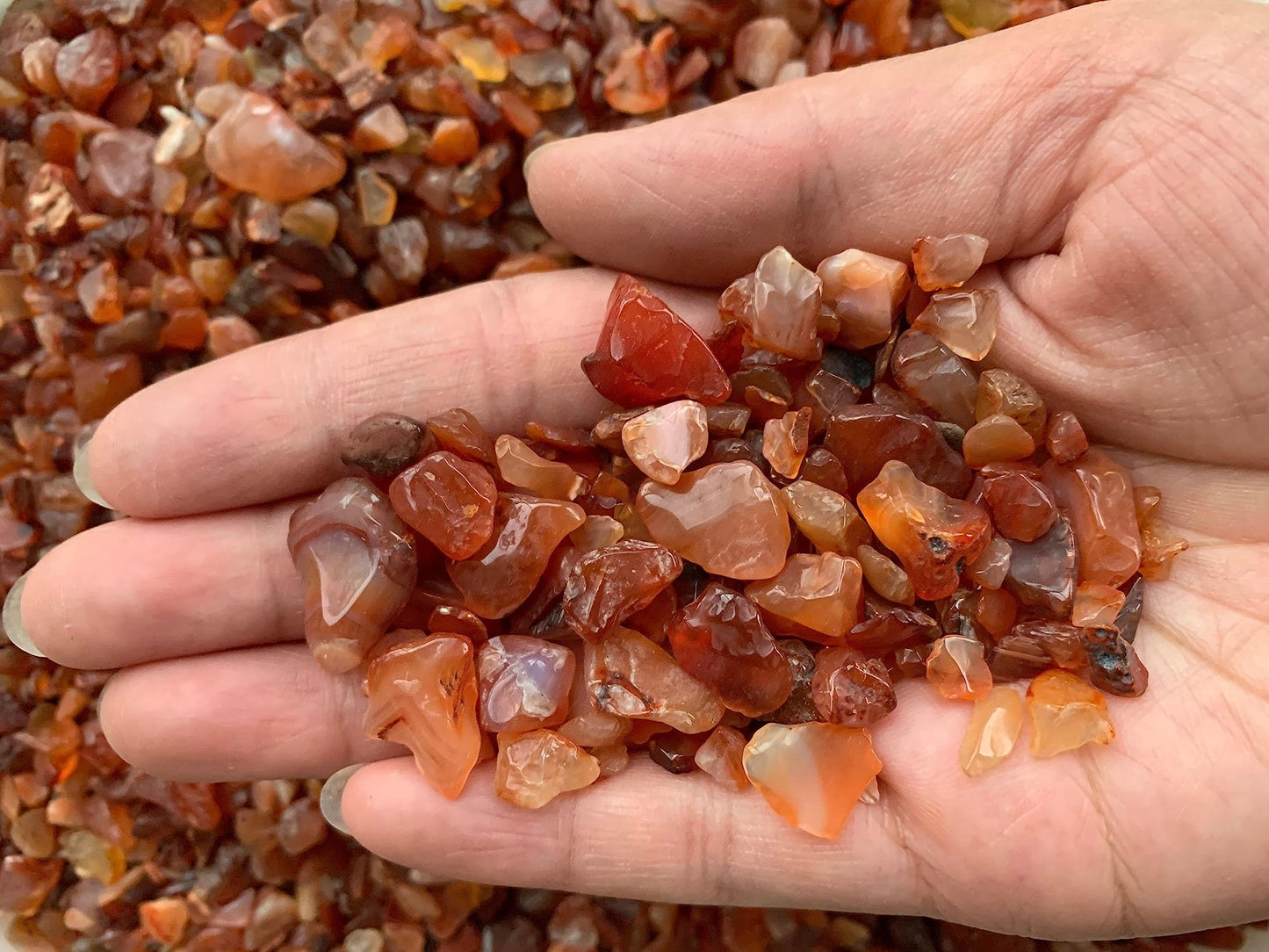 WHOLESALE Natural Semi Tumbled Carnelian Gemstone Chips, Crushed Mini Crystals, Undrilled Crystal Chips (Carnelian, 0.25 Pound)