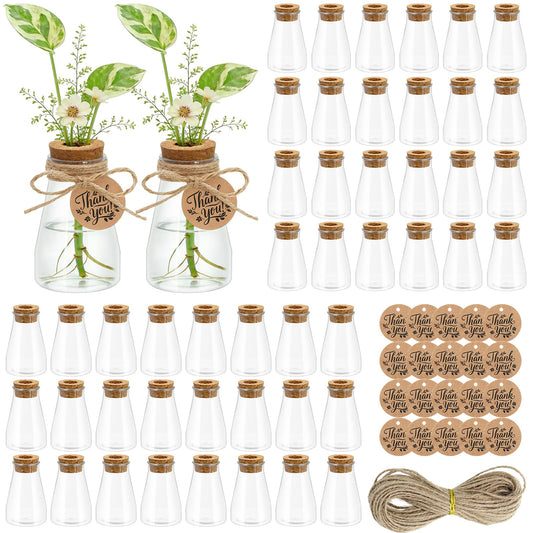 48 Pack Plant Propagation Stations, 3.35'' Plastic Propagation Jars Clear Hydroponic Small Vase Hanging Planter Tube with Cork Lid Tags Hemp Rope for Plant Lovers Women Office Home Decor Garden Gifts
