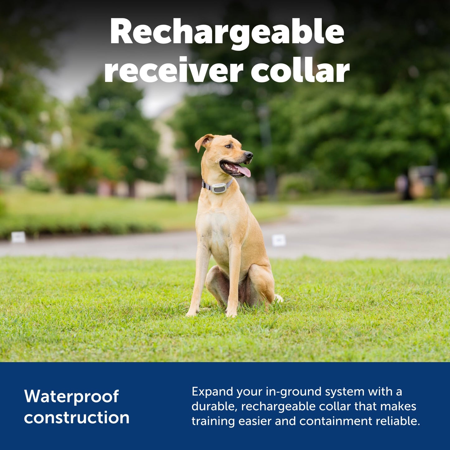 PetSafe Classic In-Ground Fence Rechargeable Receiver Collar for Dogs and Cats - from The Parent Company of Invisible Fence Brand - 7 Levels of Adjustable Static Correction - for Pets 5 lb and Up