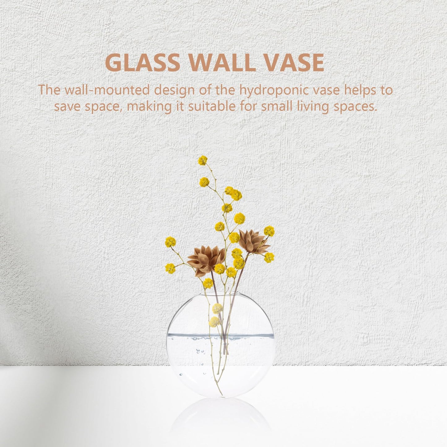 Hemobllo 2pcs Wall Mounted Hydroponic Glass Vases Glass Planter Holders for Indoor Plant Terrariums Home Decor