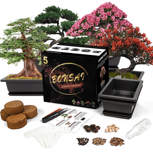 Bonsai Starter Kit, Growing Set Including Complete Gardening Tools with A Gift Box, Gifts for Women