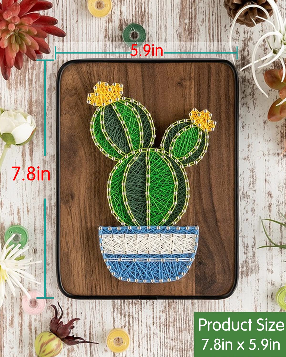 BAZIMA DIY String Art Kit for Beginner, DIY Cactus Potted Craft Kit,Unique Gift,Craft Kit for Holidays