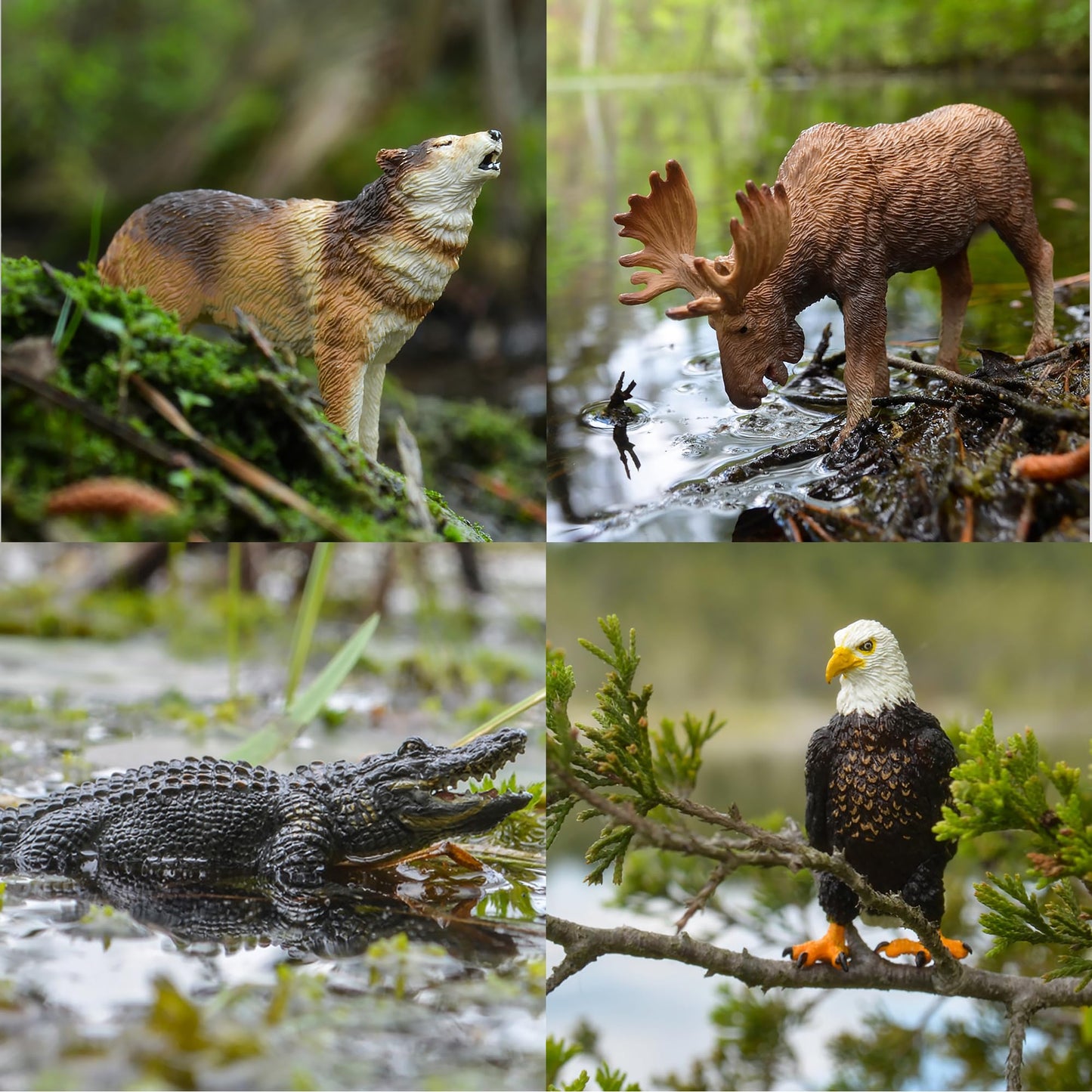 Toymany 12PCS North American Forest Animal Figurines, Realistic Jungle Zoo Animal Set Includes Moose,Cougar,Wolf,Bear,Eagle,Deer Educational Toy Cake Toppers Christmas Birthday Gift for Toddlers