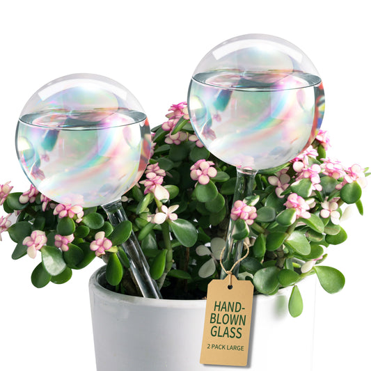 Soilagua Large Extra-Thick Clear Glass Plant Watering Globes, Rainbow Gradient Self Watering Devices for Indoor & Outdoor Plants, AutomaticWaterer Spikes, Perfect for Daily or Vacation Use, 2-Pack