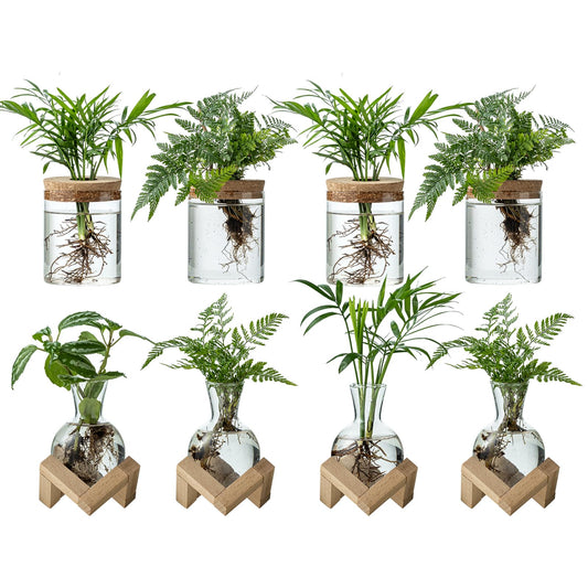 JGKYLDZ Plant Propagation Station, 2 Style Glass Planter Terrarium Set for Hydroponic Plants | Home Office Tabletop Decor, Gardening Gifts for Women, Mom, Plant Lovers (8)