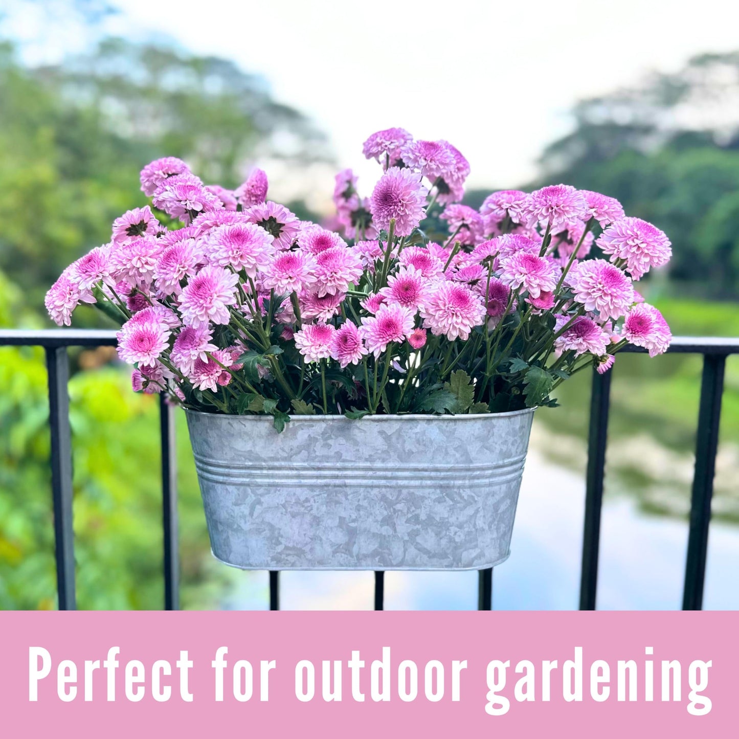 LaLaGreen Bundle- 2 Pack, 11.2 Inch + 2 Pack, 15 Inch Siver Metal Pot Hanging Window Flower Herb Boxes with Hook Modern Countryside Outdoor Bucket Garden Decor Rail Fence Home Porch Balcony Boho Style