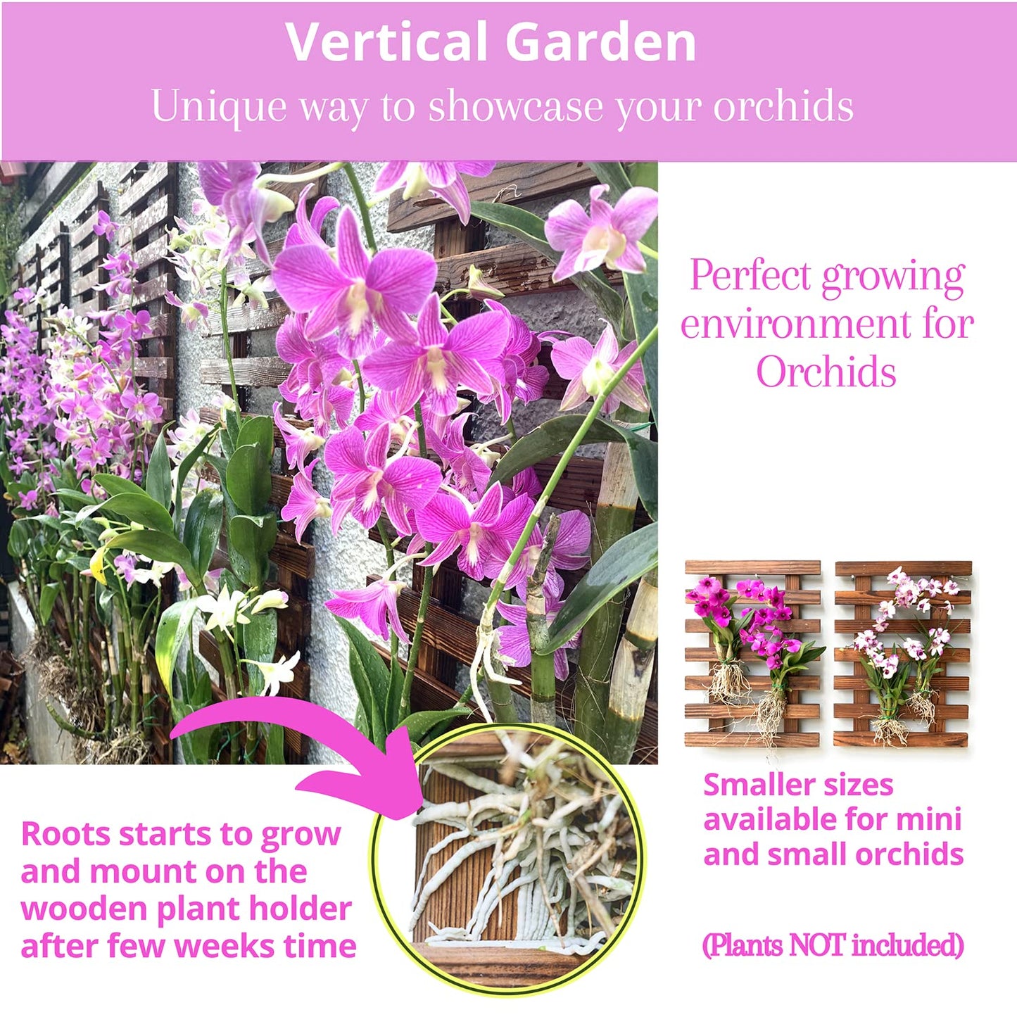 LalaGreen Bundle - 4" Pot + 2 Wooden Plant Holder, Black Self Watering Pot, Wall Hanging Planters for Indoor Plants Ladder, Wall Hanging Pots, Outdoor Vertical Garden Unique Live Orchid Planter Holder