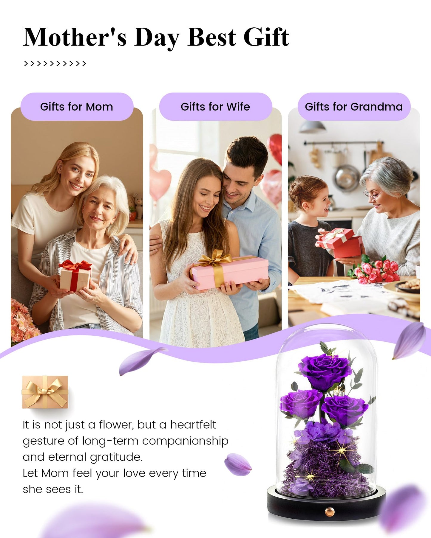 Agrul Mothers Day Flowers Roses Gifts for Mom,Forever Preserved Flower Rose in Glass Dome Fresh Flowers for Delivery Mothers Day Roses Gifts for Wife Women Mom Grandma from Daughter/Purple Rose