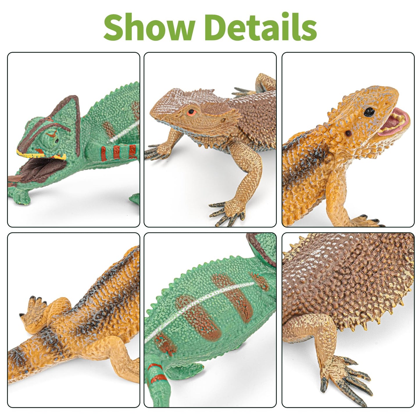 THINKBAY 6PCS Large Lizard Figurines Rainforest Animal Toys, Realistic Plastic Reptile Animal Figurines, Includes Bearded Dragon,Fire Salamander,Chameleons,Coast Horned Lizard Toys, STEM Toy for Kids
