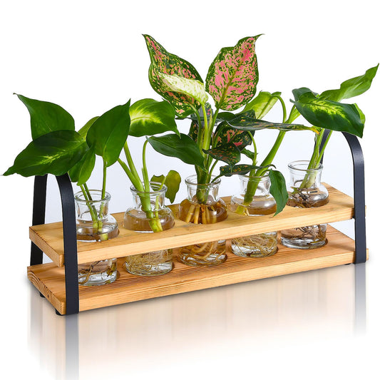 VIKEYHOME Plant Propagation Station with Wood Stand, Desktop Terrarium for Hydroponic, Flower Vase for Home, Kitchen, Office Decor, Plants Lover Gifts