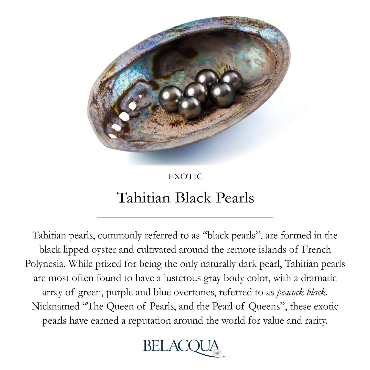 Belacqua Tahitian Black Pearl Diamond Pendant and Drop Dangle Earring Set in Sterling Silver, 18"
