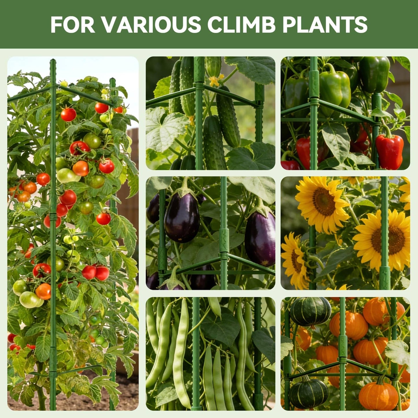 Halatool 6 Pack Tomato Cages for Garden Plant Support Stakes, 48 Inch Adjustable Tomato Trellis for Pots & Raised Garden Bed, Tomato Cage for Climbing Plants Eggplant Pepper Cucumber Bean Outdoor