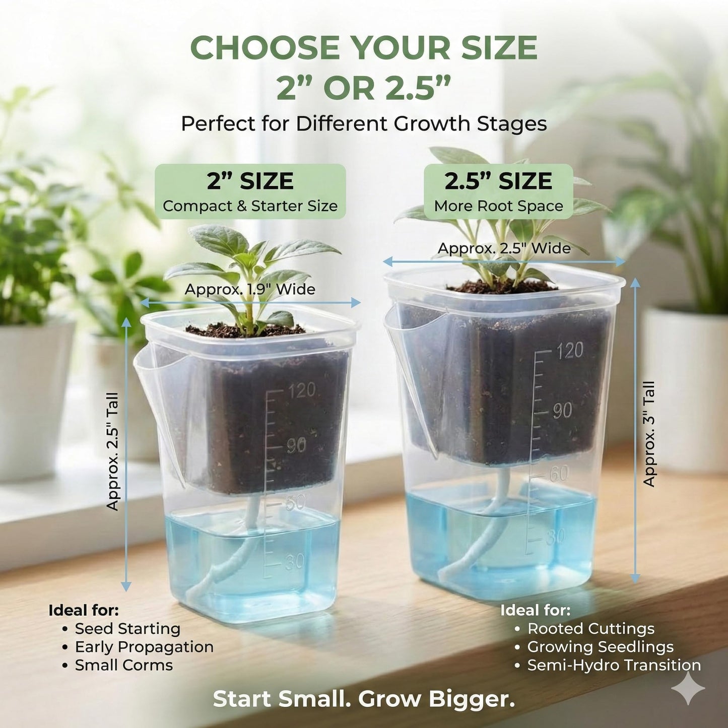 12 Pack 2.5" Clear Self Watering Pots with Wick System, Water Level Indicator & Drainage Hole, Consistent Moisture for Seedlings, Cuttings, Alocasia Corm & African Violet, 12 Plant Labels Included