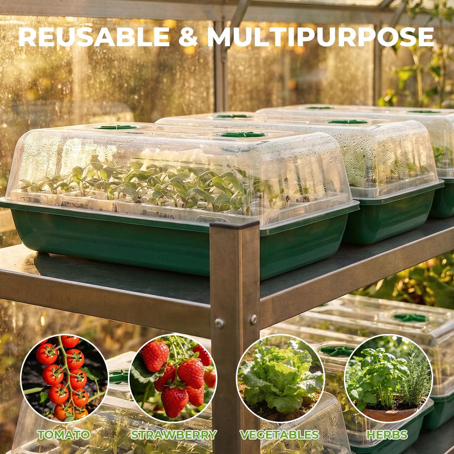 HIRALIY 80 Cell Seed Starter Tray Kits, Reusable Plant Germination Trays, Easy Transplanting, with Humidity Domes and Bases, for Starting Vegetable, Flower & Herb Seeds, Indoor Gardening, Greenhouse