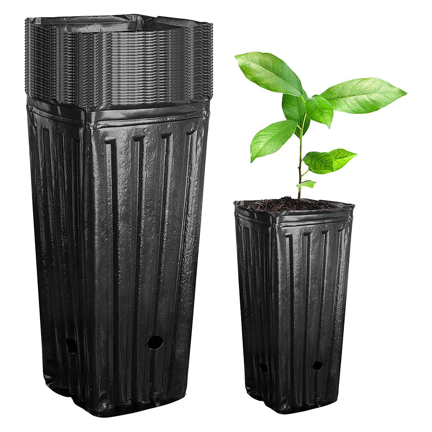 Asixxsix 20pcs Deep Plant Nursery Pots, 7.8in Tall Seedling Flower Plant Container Pots with Drainage Holes Thicken Plastic Nursery Bags Reusable Planter Flower Pots for Gardens