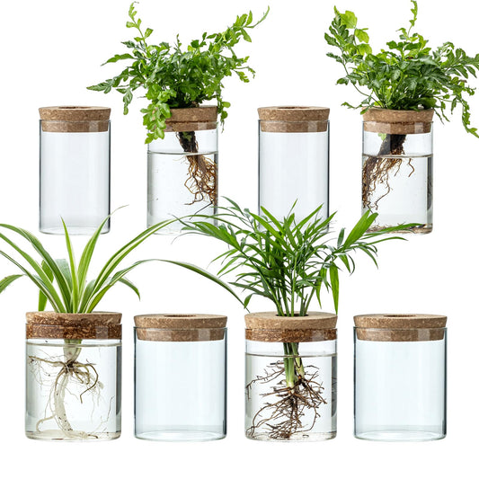 Plant Propagation Stations for Plants, 2 Size Glass Propagation Vases for Propagating Hydroponic Indoor Home Office Decor, Tabletop Glass Planter Gift for Plant Lovers (8)