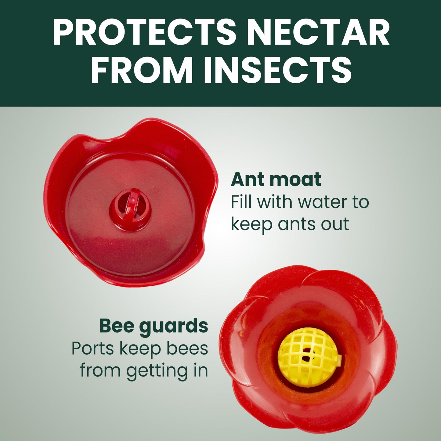 Perky-Pet Glass Hummingbird Feeders for Outdoors with Ant Moat, Bee Guards, & Perches, 8oz Nectar Capacity, Wide-Mouth Bottle for Easy Filling & Cleaning, Outdoor Garden Décor, 203CPBN-2 (Pack of 2)