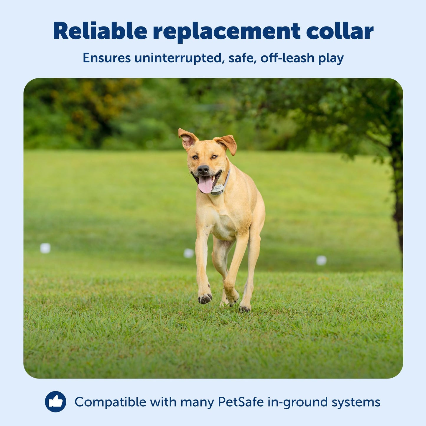 PetSafe Classic In-Ground Fence Rechargeable Receiver Collar for Dogs and Cats - from The Parent Company of Invisible Fence Brand - 7 Levels of Adjustable Static Correction - for Pets 5 lb and Up