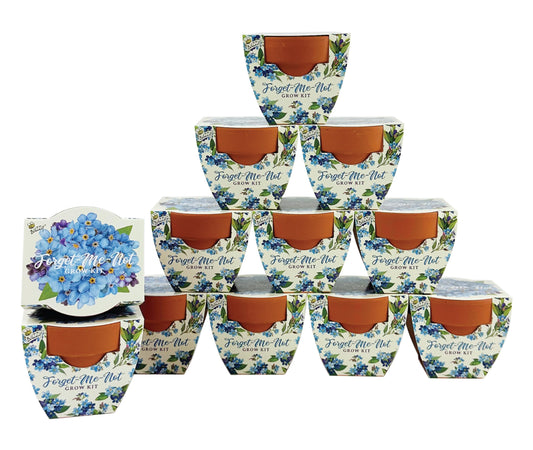 BUZZY Seeds Mini Terracotta Pots 12-Pack Daydream Forget-Me-Not Flowers, All-in-One Seed Starter Kits, Indoor Outdoor Gardening Gift, Wedding Favors, Seeds for Planting Flowers