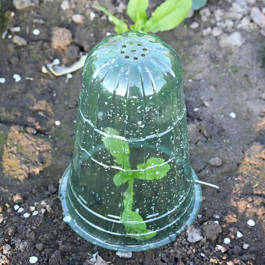 JUSUFU 10 Pack Garden Cloches for Plants, Reusable Bell Plant Protector, Garden Protection from Animals Snails Birds Chickens Insect, 9.85" H X 7.3" D (Green)