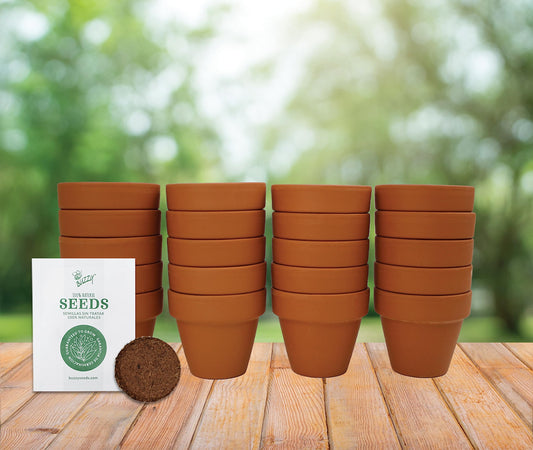 BUZZY Seeds Terracotta Mini Grow Pots – Herb Flower Plant Starter Kit Assorted 20-Pack with Lavender Seeds, Indoor Grow Your Own Gardening Gift for DIY Projects and Party Favors